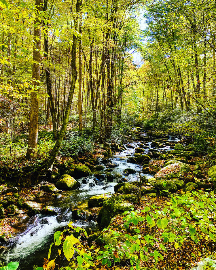 Great Smoky Mountains National Park: 3 Day Adventure