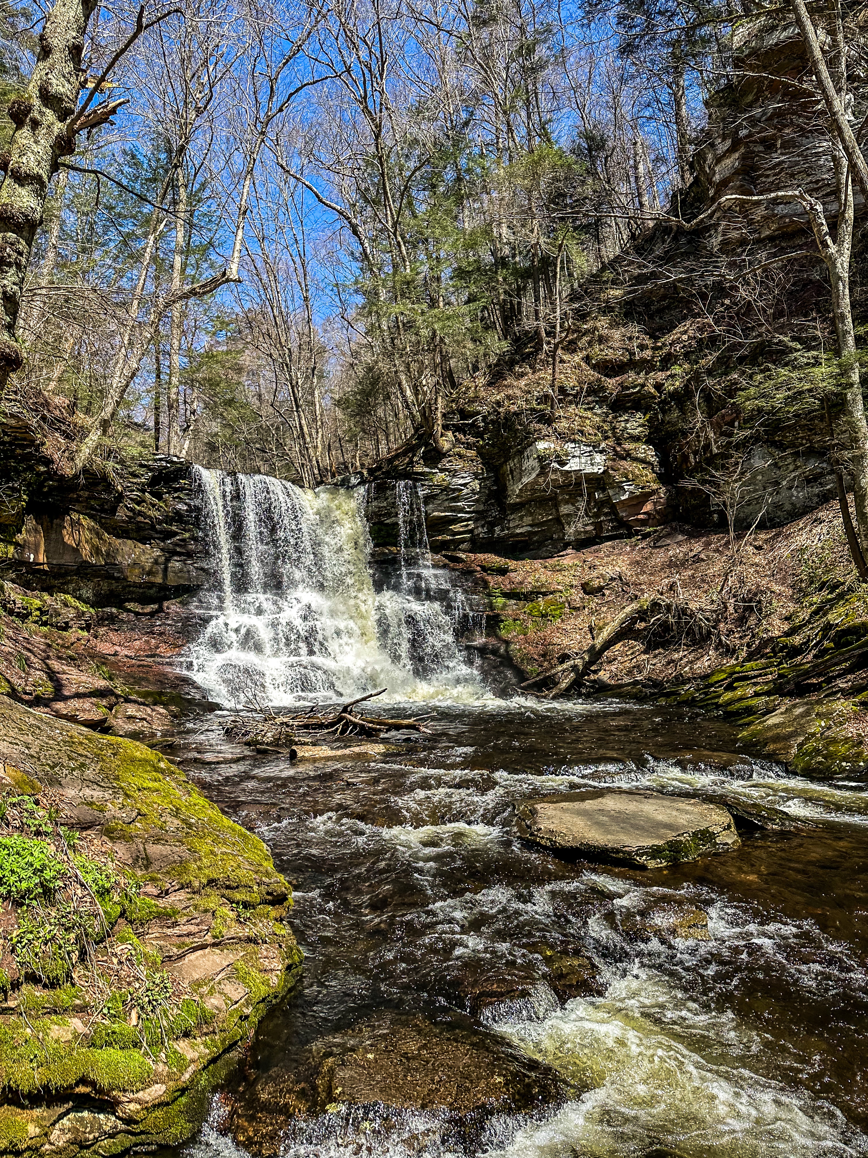 Ricketts Glen State Park: 1 Day Itinerary