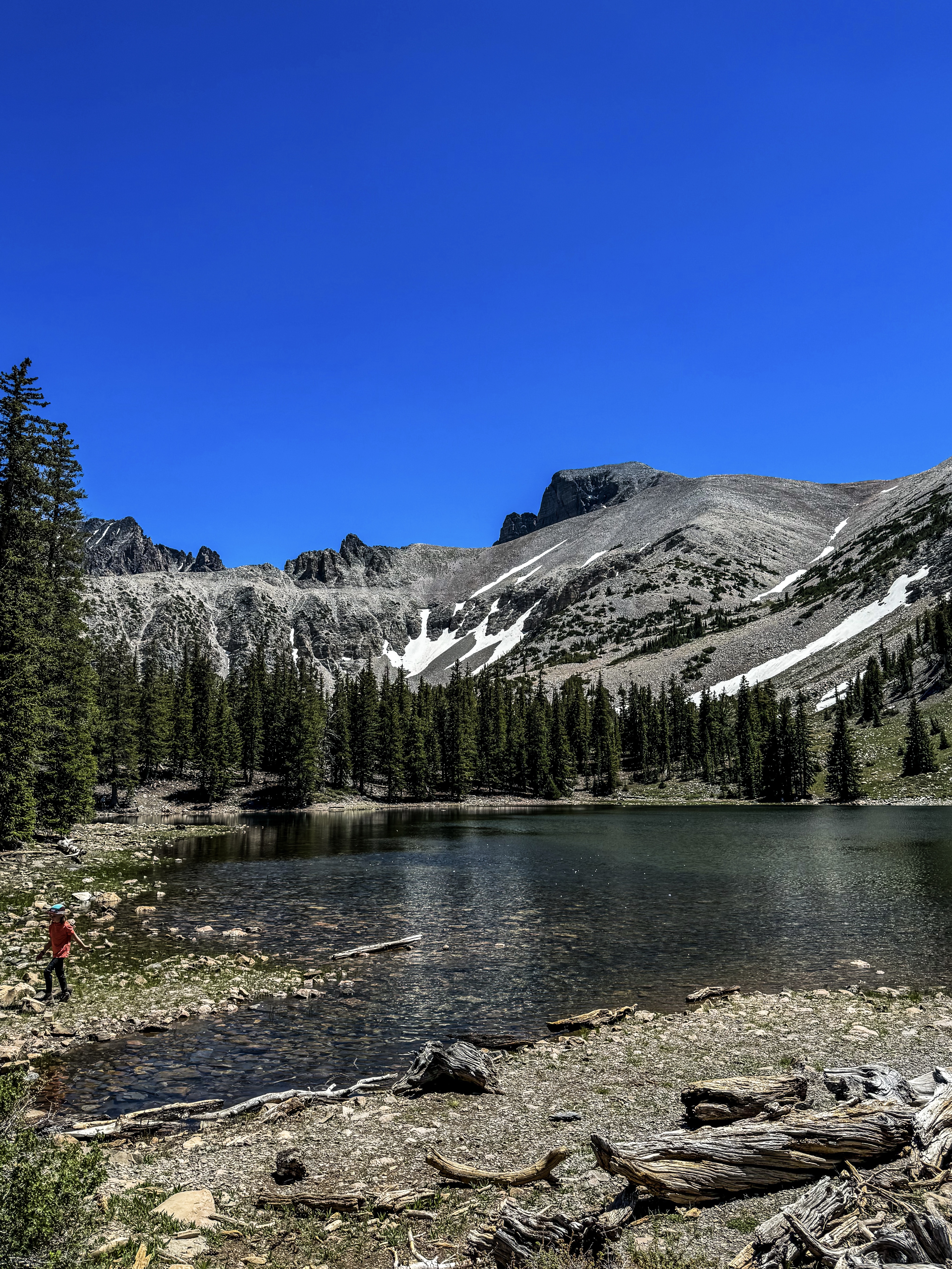 Great Basin National Park: 1 Day Itinerary