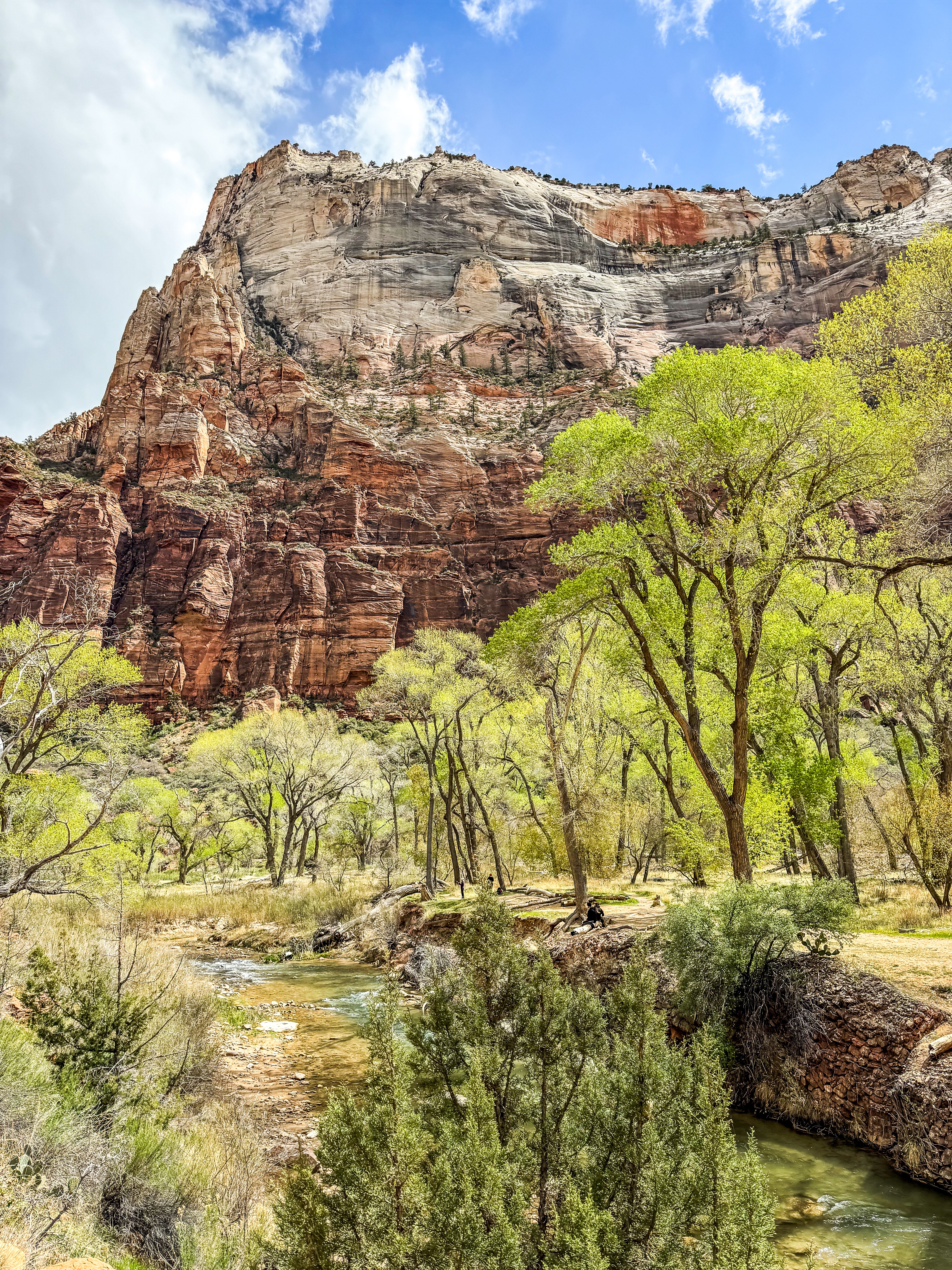 Zion National Park: 4 Day Itinerary