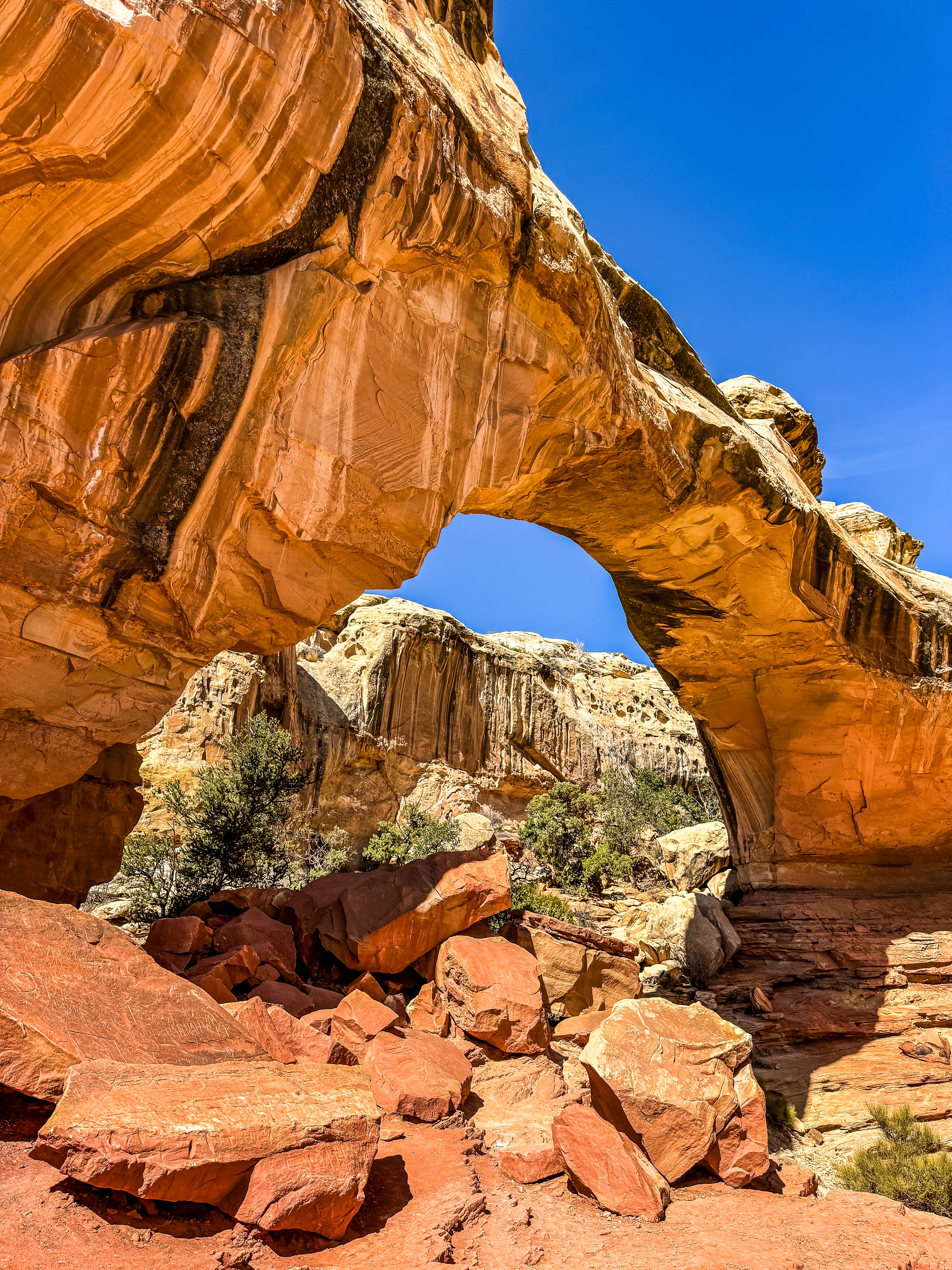 Capitol Reef National Park: 2 Day Itinerary