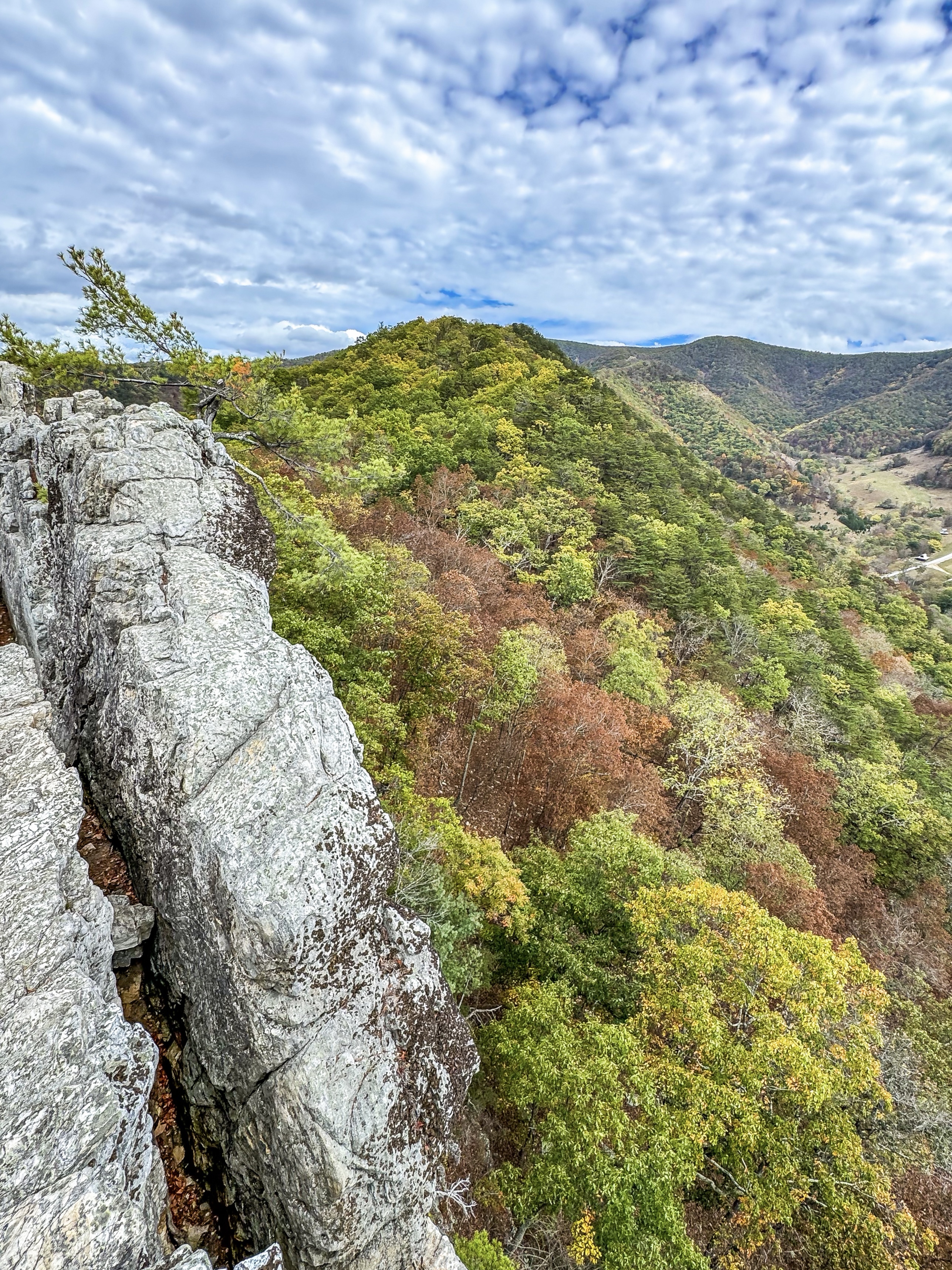 Spruce Knob-Seneca Rocks National Recreation Area