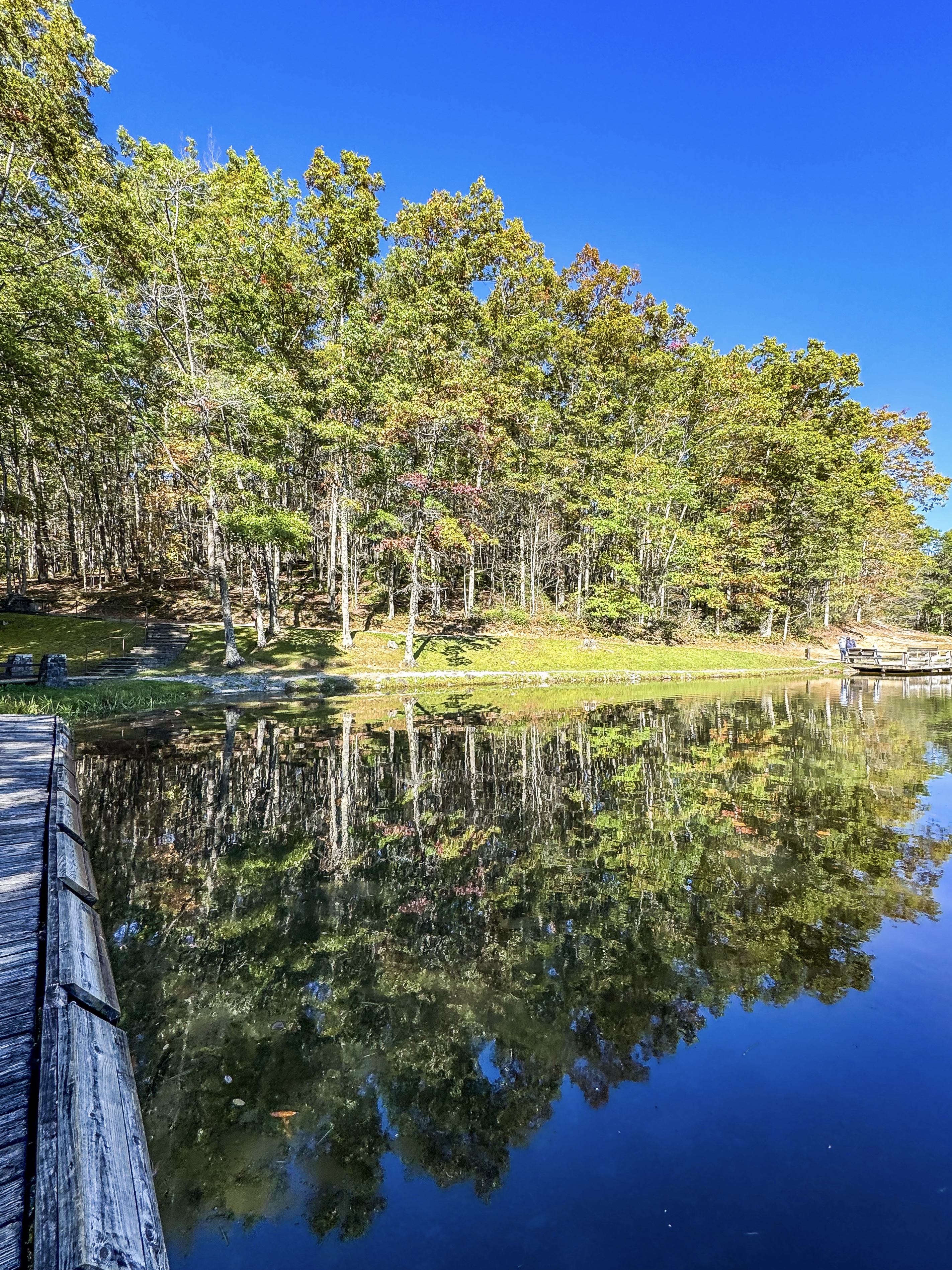 Babcock State Park: 1 Day Itinerary