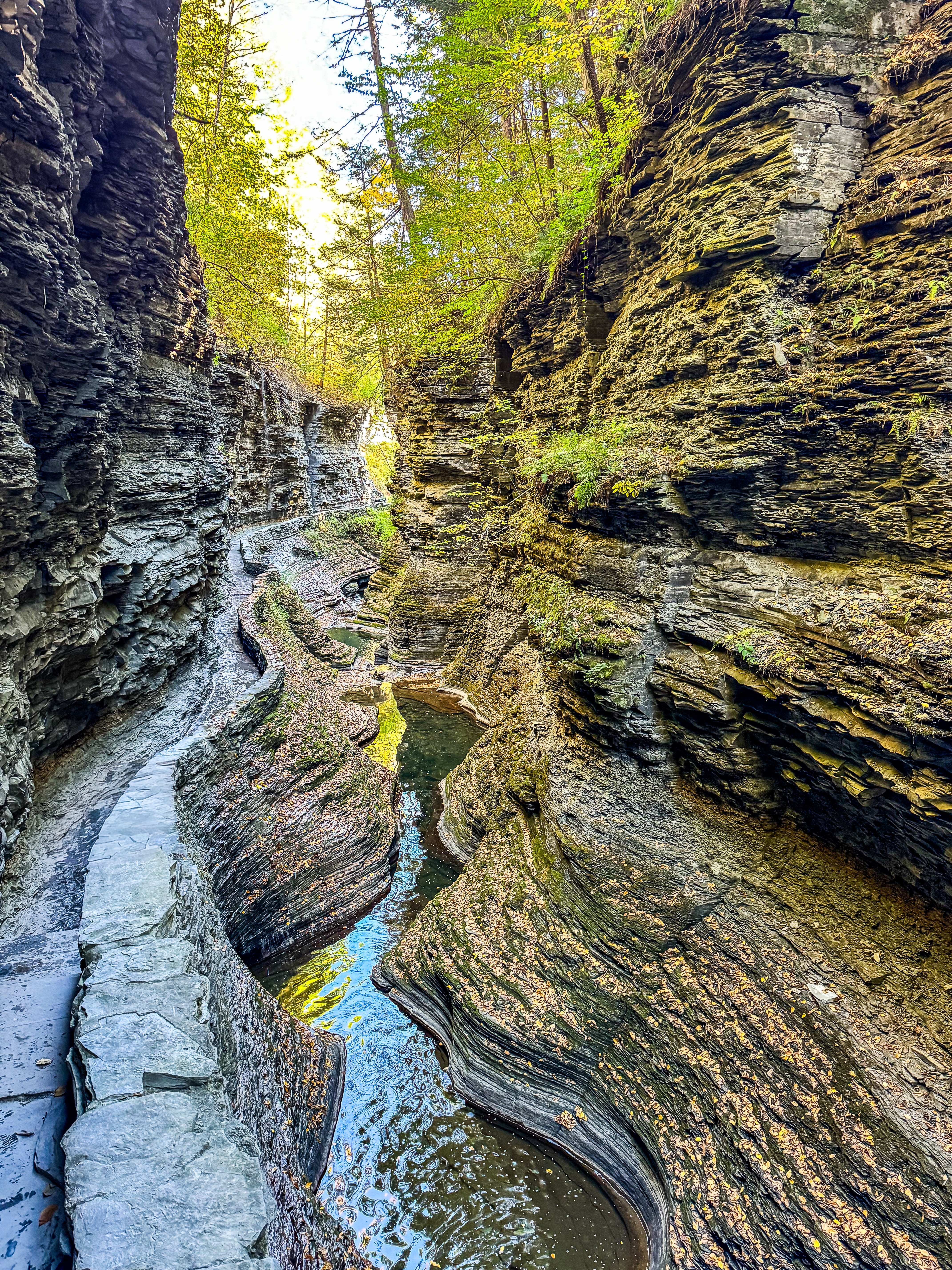 Watkins Glen State Park