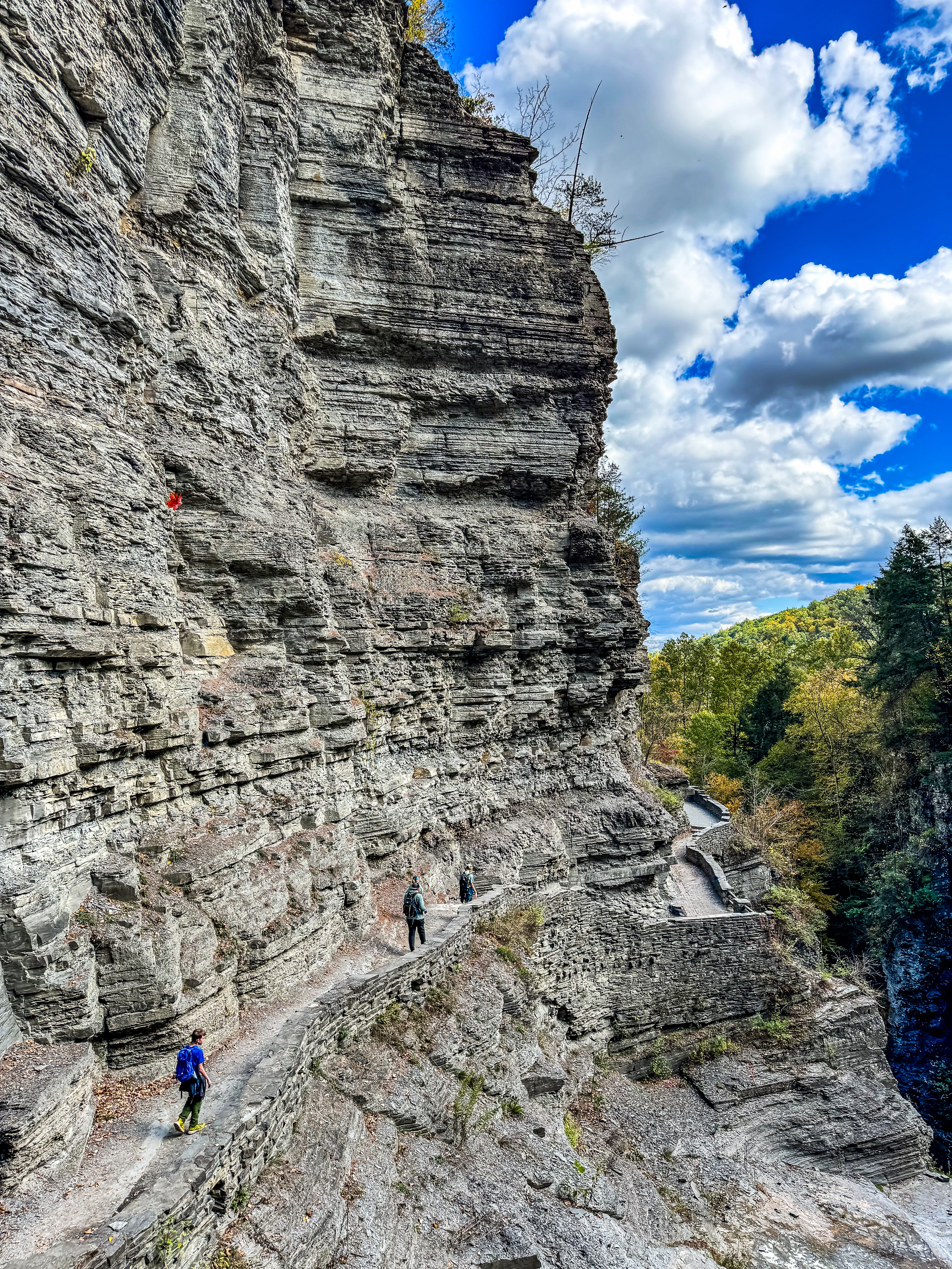 Robert H Treman State Park