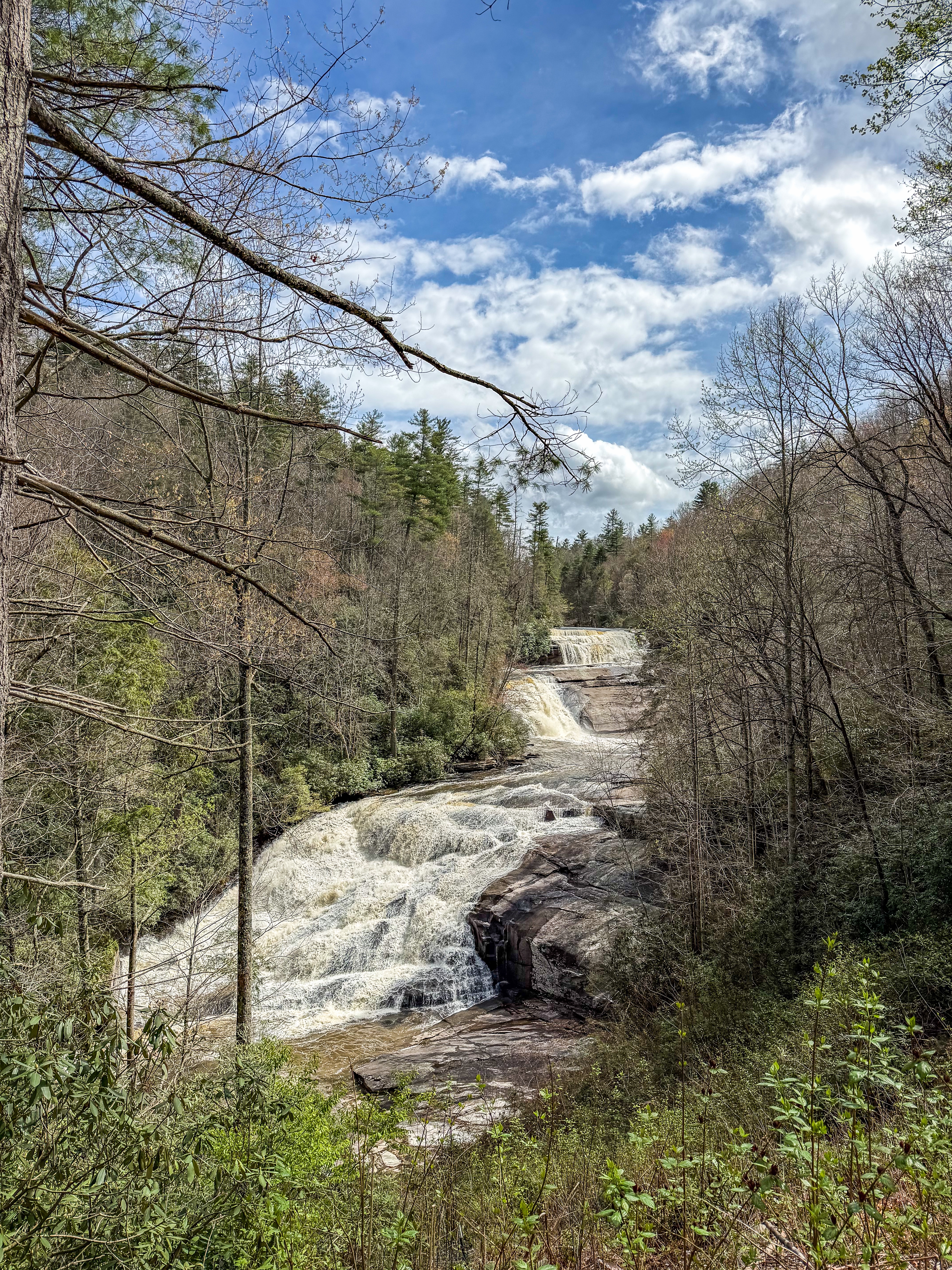 Dupont State Forest: 1 Day Itinerary