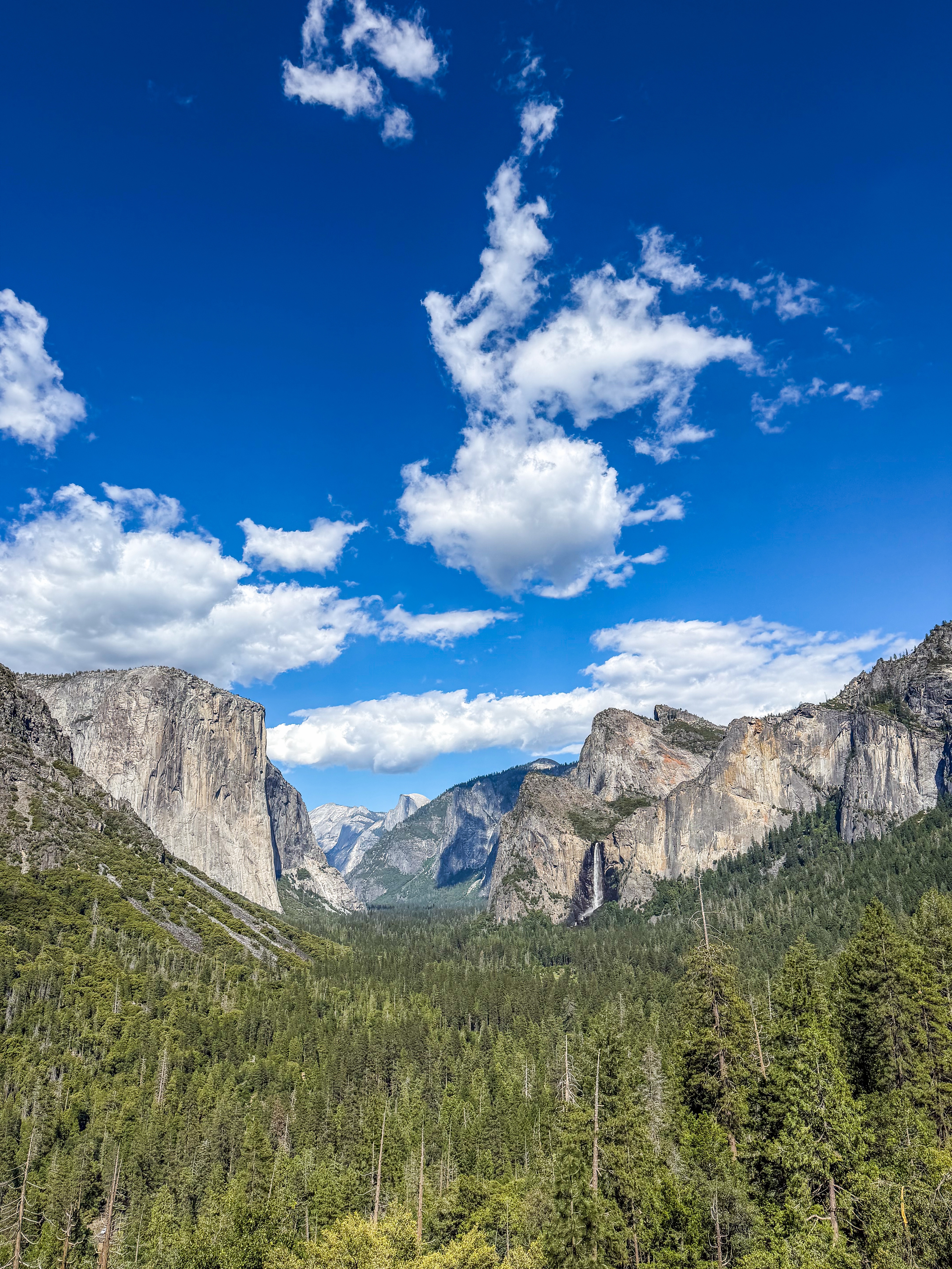 Yosemite National Park: 5 Day Itinerary